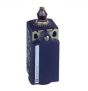 Telemecanique XCKP2511G11 Device
