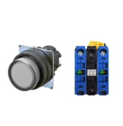 OMRON A22NL-BPM-TWA-G101-WA Device