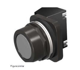 Siemens 52PX8A6A Button