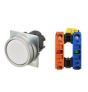 OMRON A22NN-MNM-NWA-G202-NN Device