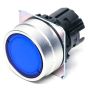 OMRON A22NZMNMUGA Button