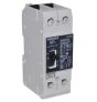 Siemens NGG2B110L Breaker
