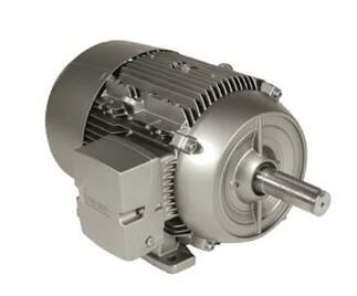 Siemens 1LE21212AA114EA3 Motor