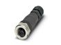 Phoenix Contact 1559000 Cable