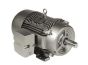 Siemens 1LE22211CB114GA3 Motor