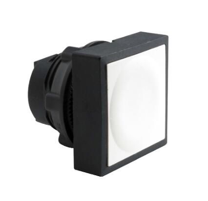 Schneider Electric ZB5CH01 Button
