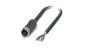 Phoenix Contact 1407258 Cable