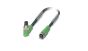 Phoenix Contact 1415881 Cable