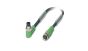 Phoenix Contact 1682223 Cable