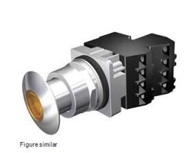 Siemens 52PP3G9U Button