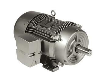 Siemens 1LE22211CB114GA3 Motor