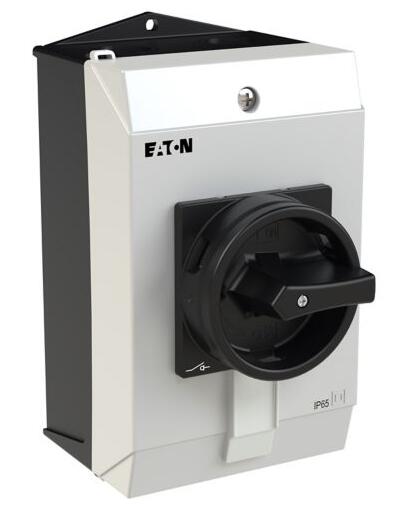 EATON/Moeller 227862 P1-25/I2H/SVB-SW/HI11 Device