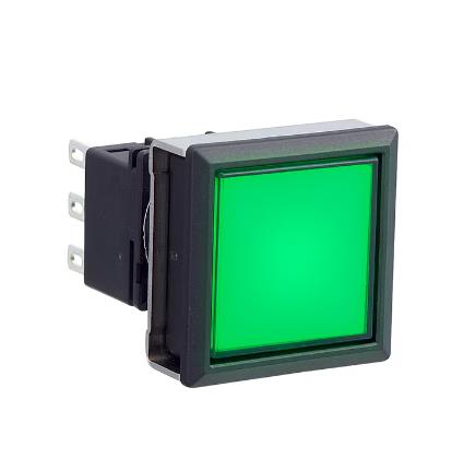 IDEC LBW7L-M1T24VG Device