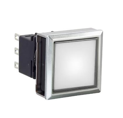 IDEC LBW7ML-A1T24PW Device