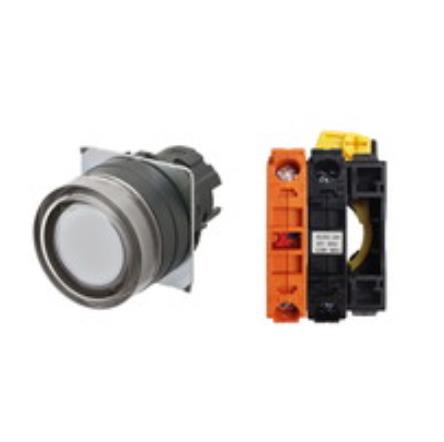 OMRON A22NL-BGM-TWA-G002-WD Device