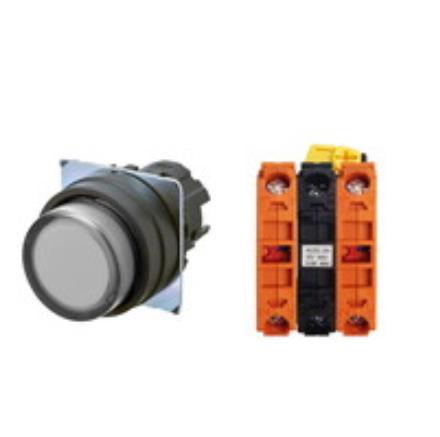 OMRON A22NL-BPM-TWA-G202-WC Device