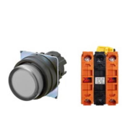 OMRON A22NL-BPM-TWA-G202-WD Device