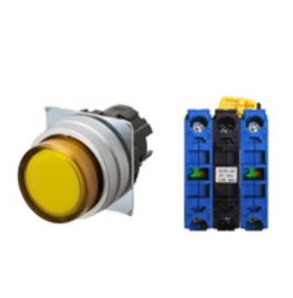 OMRON A22NL-MPM-TYA-G101-YE Device