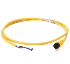 Allen-Bradley-889D-F4AC-2 Micro Cable