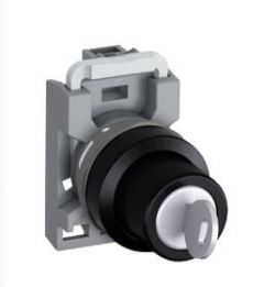 ABB M2SSK1-40110 Switches