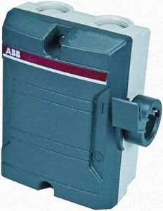 ABB BWS 316 TPN Switch