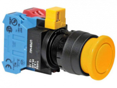 IDEC HW1B-V3F22-Y Device