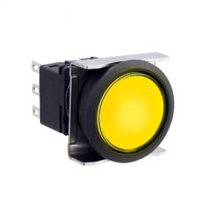 IDEC LBW6L-A1T54Y Device