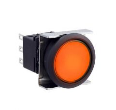 IDEC LBW6L-M1T14VA Device