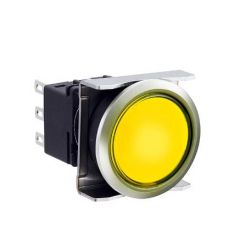 IDEC LBW6ML-A1T64Y Device