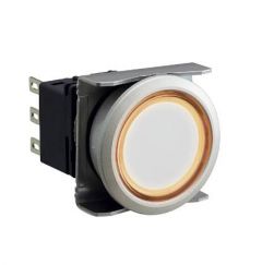 IDEC LBW6ML-M1RT14PW Device