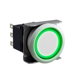 IDEC LBW6ML-M1RT54WG Device