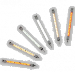 IDEC LF1B-NB3P-2TLWW2-3M Device