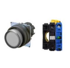 OMRON A22NL-BPA-TWA-G100-WC Device