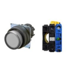 OMRON A22NL-BPA-TWA-G100-WD Device