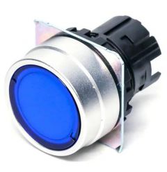 OMRON A22NZBGANRA Button