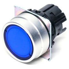OMRON A22NZRPANYA Button