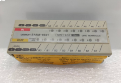 OMRON B7AM8B31 Terminal