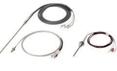 OMRON E52P20AYD324M RTD
