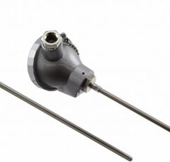 OMRON E52P20CND48 RTD