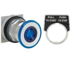 Schneider Electric 9001KR8L Button
