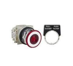 Schneider Electric 9001KR9RH2 Button