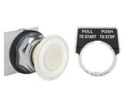 Schneider Electric 9001KR9W Button