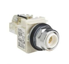 Schneider Electric 9001KT35LY Light