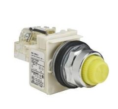 Schneider Electric 9001KT38LYY31 Accessory