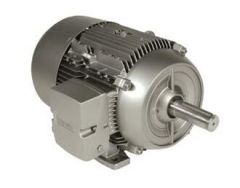 Siemens 1LE21211AB314AA3 Motor