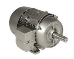 Siemens 1LE21212BA114AA3 Motor