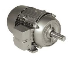 Siemens 1LE21212BB114AA3 Motor