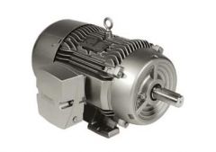 Siemens 1LE22212BA214AA3 Motor