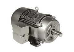 Siemens 1LE22213CB116AA3 Motor