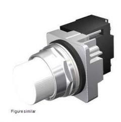 Siemens 52PL4JB Indicator